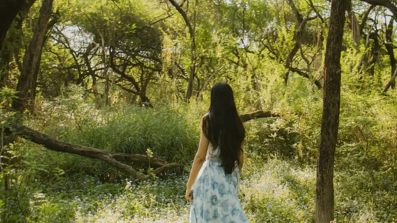成人无忧打造轻松自在的成年人生活